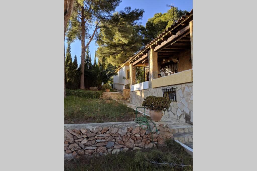 Villa Carmen - Chalet Privado Con Piscina, Jardin Y Barbacoa Alcoceber Екстер'єр фото